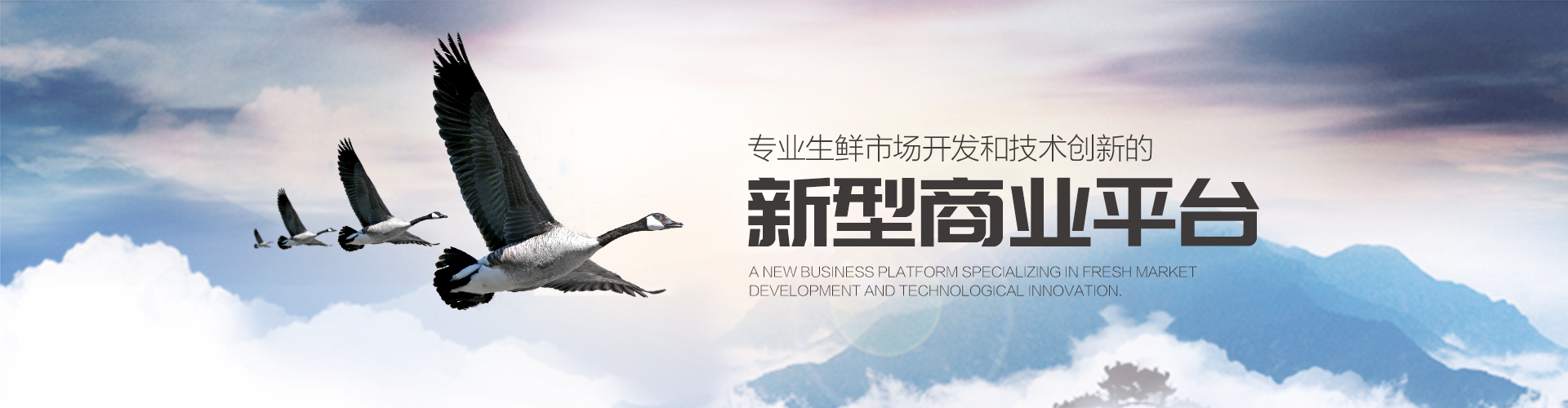产品布局  /  江西采得好供应链有限公司